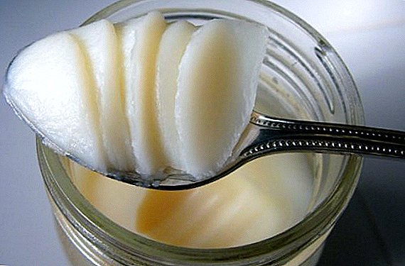 How goose fat is useful: useful properties and healing recipes