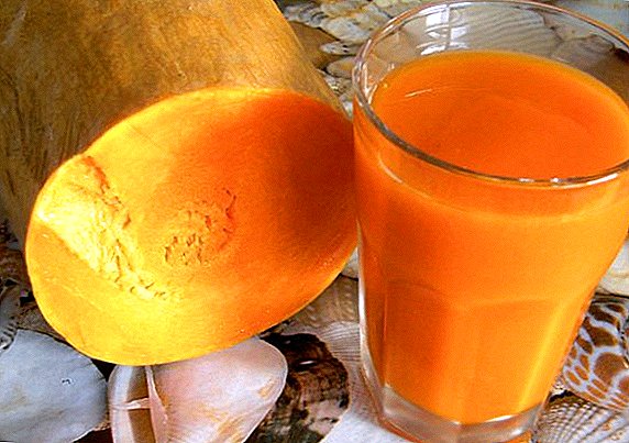 What is useful and how to cook pumpkin juice at home