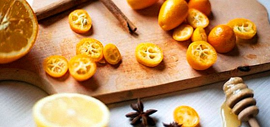 What is useful and harmful kumquat, we study