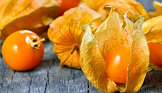 What is useful, and whether physalis is harmful