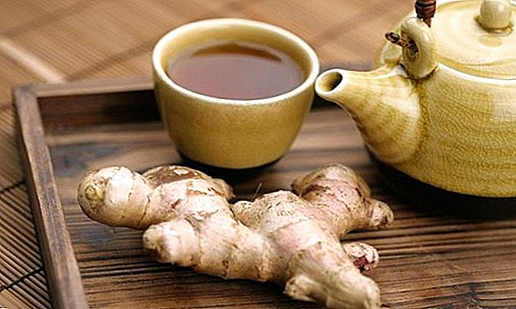 How is ginger tea useful, and does it harm