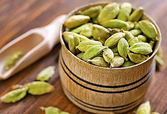 What is the benefit of cardamom, medicinal properties and contraindications of plant use?