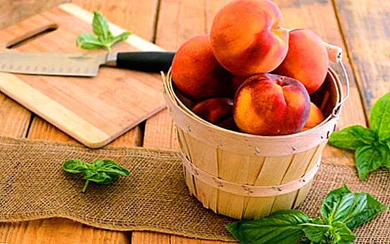 Wie ist Pfirsich für den Körper nützlich?
