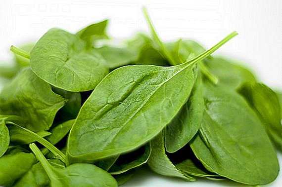 How is spinach useful for the body?
