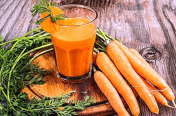 Hva er nyttig gulrot juice for menneskekroppen?