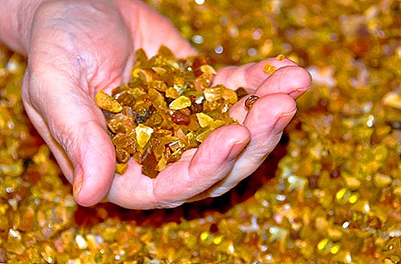 How amber is useful: treatment and beneficial properties for the human body