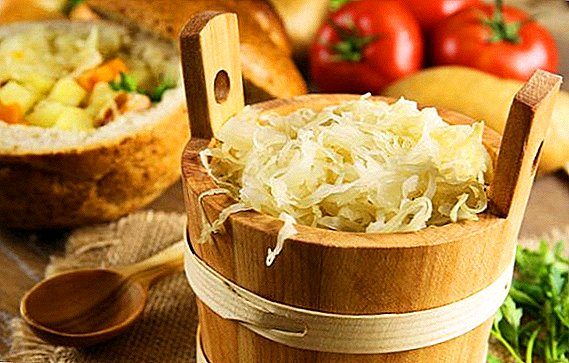 What is useful and harmful than sauerkraut?