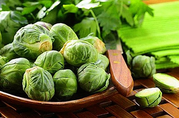 The useful and harmful Brussels sprouts