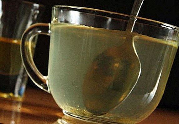 How useful honey water in the morning on an empty stomach for the body