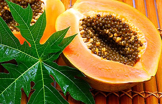 Cómo la papaya es útil: uso y contraindicaciones.