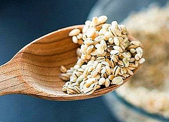 What is useful barley