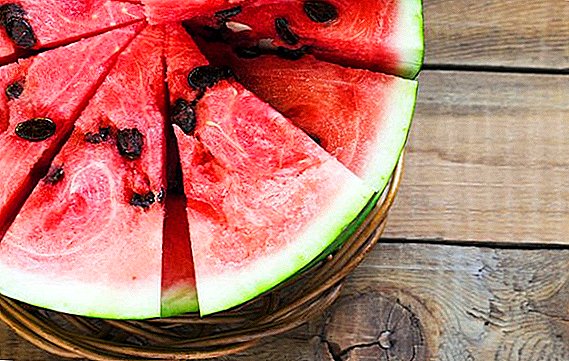 De nyttige vannmelonfrøene
