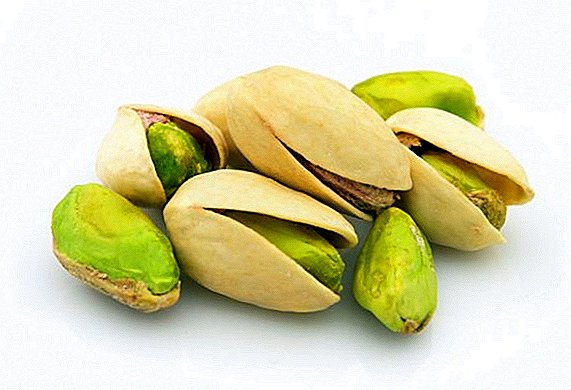 Bagaimana pistachios berguna