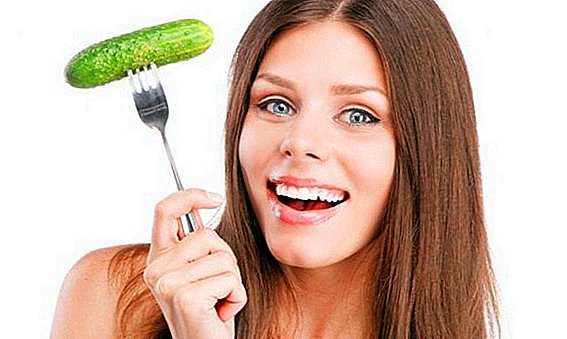 The useful cucumbers (fresh) for women and men