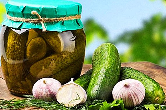 How are pickled cucumbers useful?
