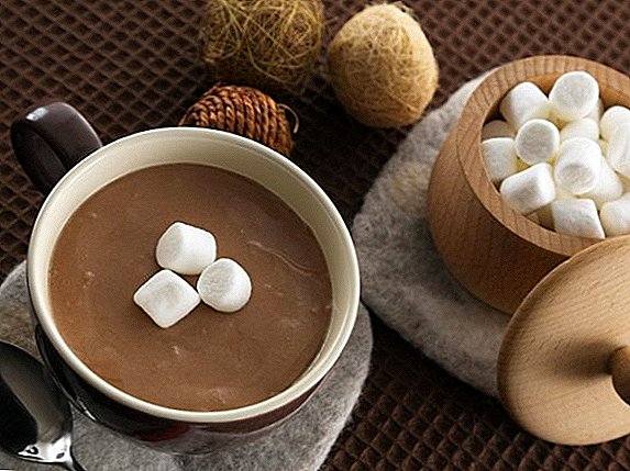 Mis on kasulik kakao ja kuidas seda kasutada majapidamises ja kosmeetikas