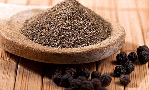 Ground black pepper: the use of beneficial properties