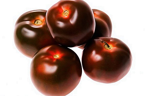 Tomates de frutos negros "Kumato"