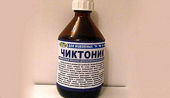 Chiktonik for rabbits: instructions for use of vitamin