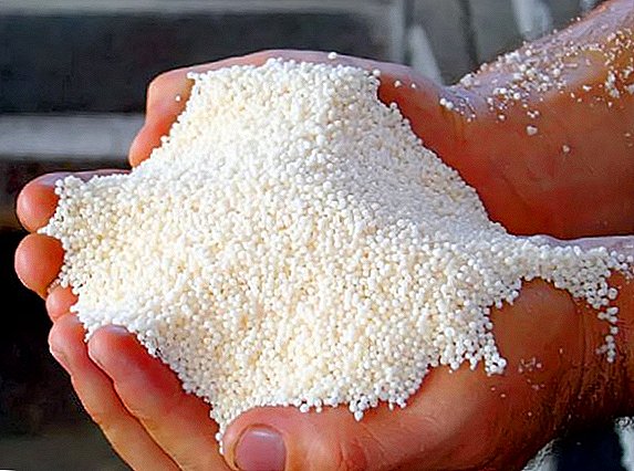 What is better - urea or ammonium nitrate, and whether this is one and the same fertilizer