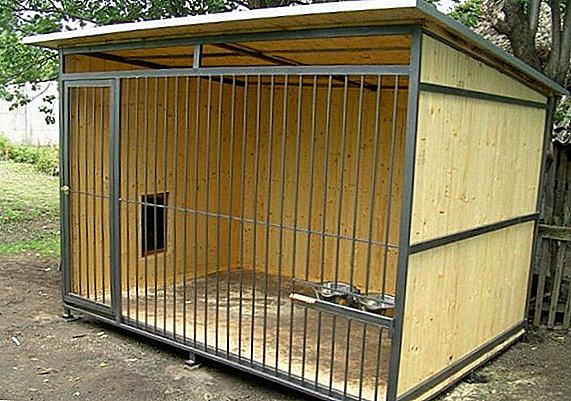 Lo que debes tener en cuenta para construir un recinto para perros.