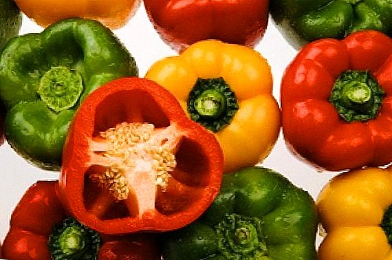 Što trebate znati o uzgoju paprike