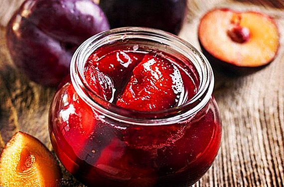 What to cook from the plum for the winter: the best recipes blanks