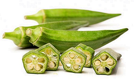 What is okra, how it is useful and how to cook it