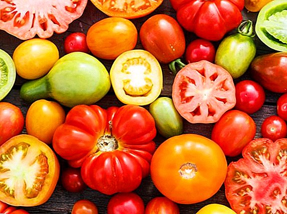 What are determinant and indeterminant varieties of tomatoes?