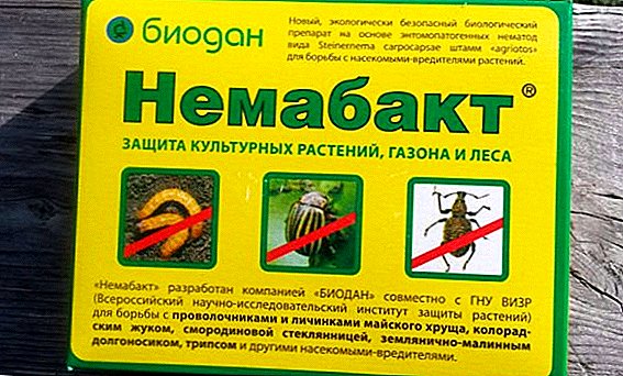 Was ist "Nemabakt" und wie wird es gegen Schädlinge eingesetzt?