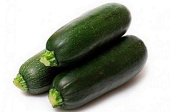 Zucchini: co je to rostlina a jak se o ni starat