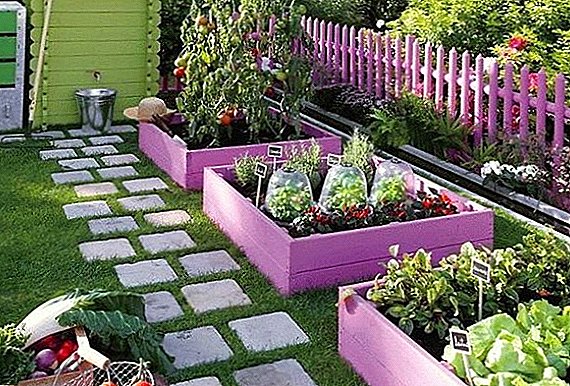 Decorative plastic fencing for your beds (with photos)