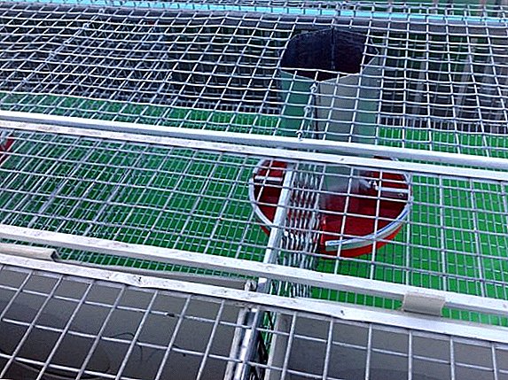 Making cages to rabbits with your own hands using the grid