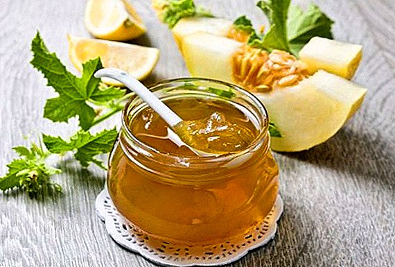 Melone für den Winter: Kompotte, Marmelade, Honig aus einer Melone