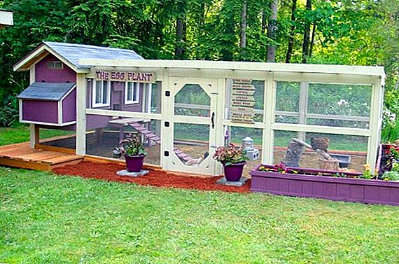 Design beautiful chicken coops, how to build them