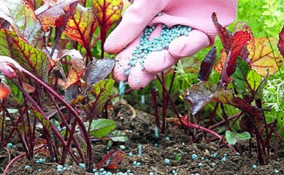 Cosa è necessario e come usare i fertilizzanti al fosfato di potassio