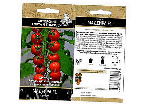 For greenhouses and open ground: Tomato Madeira
