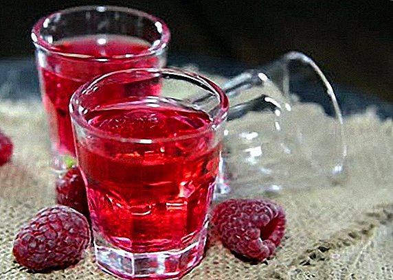 Homemade raspberry wine, the best recipes
