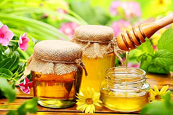 Sweet clover honey: reference, useful and hard to get