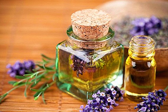 Etherische olie van lavendel: wat is nuttig en wat behandelt, wie mag niet worden gebruikt, hoe het te gebruiken voor cosmetische en medicinale doeleinden