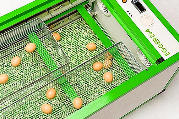 Visão Geral da Incubadora de Ovos Egger 264