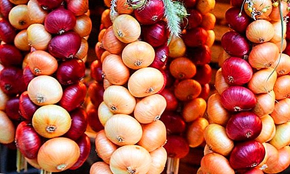 European onion has increased dramatically in price