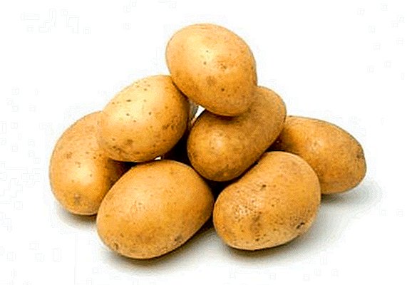 Finnish Potato Timo variety