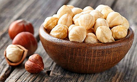 Hazelnuts - the useful