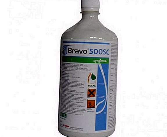 Fungicida "Bravo": composição, método de uso, instrução