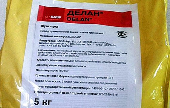 殺菌剤「Delan」：薬物の説明、使用方法、適合性および毒性