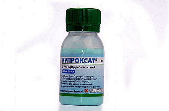 مبيدات الفطريات "Kuproksat": طريقة التطبيق ومعدلات الاستهلاك