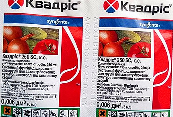 مبيدات الفطريات "Kvadris": تعليمات لاستخدام الدواء