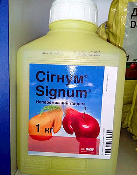 Signum-fungicide: toedieningsmethode en consumptiegraad