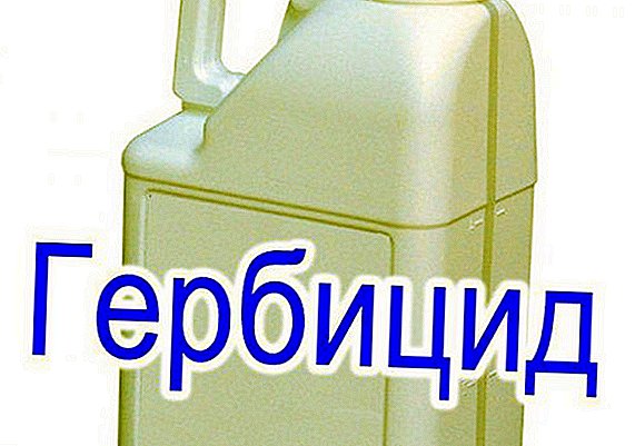 Herbicide Esteron: description, method of application and consumption rate